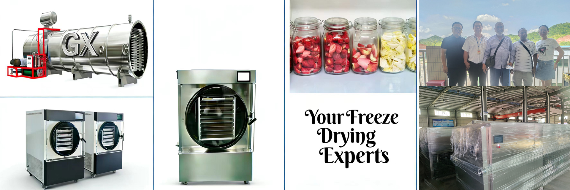 kualitas Pengering Beku Rumah pabrik