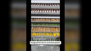 Pengering Beku Komersial 100kg Untuk Makanan