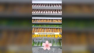 Pengering Beku Makanan 100kg untuk Bisnis