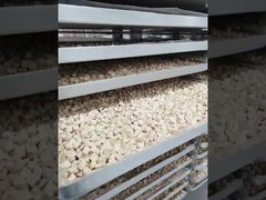 Saksikan: Dibangun untuk Ketahanan: Etalase Pemrosesan Pengering Beku Industri dengan Perawatan Rendah