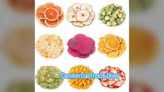 Pengering Beku Industri Skala Komersial 100KG