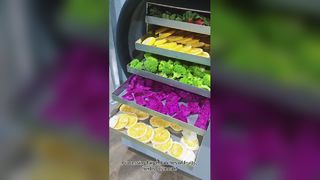 Pengering Beku Rumah Mengawetkan Makanan dengan Baik