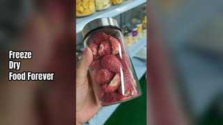 Pengering Beku Rumah Menjaga Makanan Tetap Segar