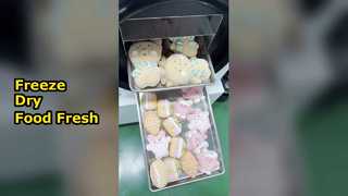 Pengering Beku Rumah Pertahankan Foo