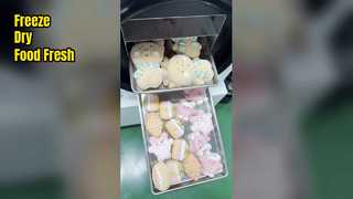 Pengering Beku Rumah Menjaga Kesegaran Makanan