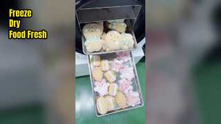 pengering beku rumah untuk pengawetan makanan