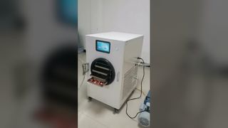 pengering beku rumah untuk penyimpanan makanan