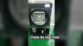 Freeze Dryer Menjaga Kesegaran Makanan