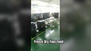 Home Freeze Dryer untuk Makanan