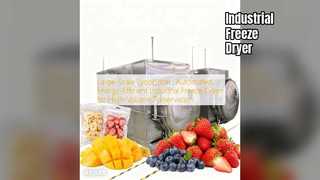 Pengering Beku Industri: Pelestarian Volume Tinggi