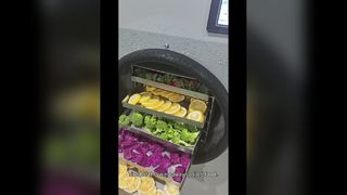 Pengering Beku Rumah untuk Penyimpanan Makanan Jangka Panjang