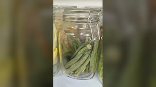 Home Freeze Dryer Mengawetkan Makanan 25 Tahun