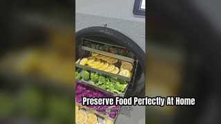 Elite Home Freeze Dryer Mengawetkan Makanan Seperti Seorang Profesional