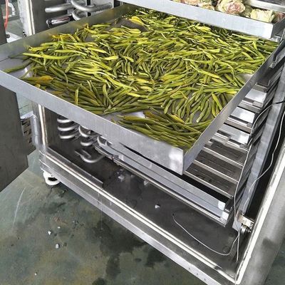 Pengering beku industri makanan 200 Kg/Lot Kontrol PLC Pendingin udara