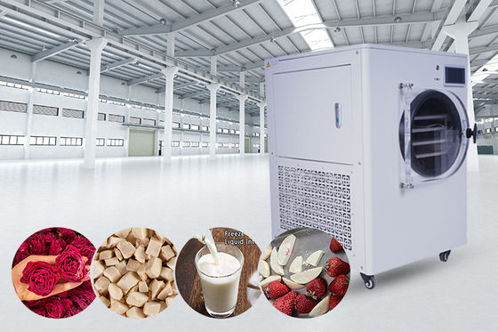 6~20Kg Kapasitas Rumah Kecil Freeze Dryer Pemanasan Listrik Metode Pemanasan Sedeng