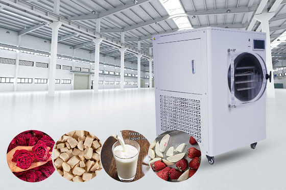 Layar LCD Sistem Pendingin  untuk Pengering Beku Rumah Tangga untuk Rumah dan Pengawetan Makanan