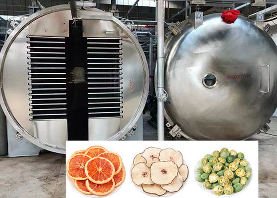 200Kg 100Kg Kapasitas Makanan Industri Makanan Freeze Dryer