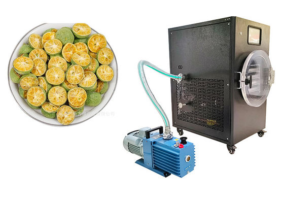 Kontrol PLC 10Kg Rumah Freeze Dryer -50C Untuk 50C Rentang suhu