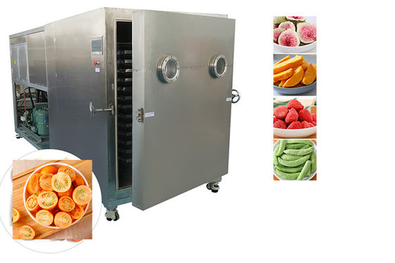 Sublimasi Makanan Industri Vacuum Freeze Dryer Air cooling
