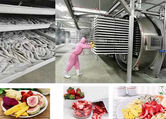 PLC dikendalikan makanan vakum makanan freeze dryer 200kg / batch