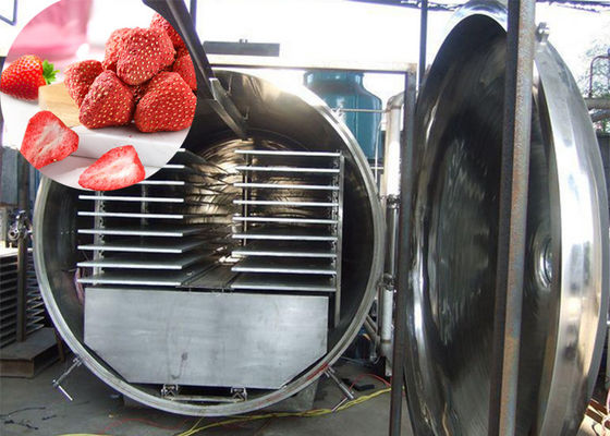 300Kg Vacuum Atla Industri Makanan Sayuran Mesin pendingin kering