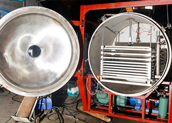 500KG Remote Control Vacuum Industrial Scale Freeze Dryer