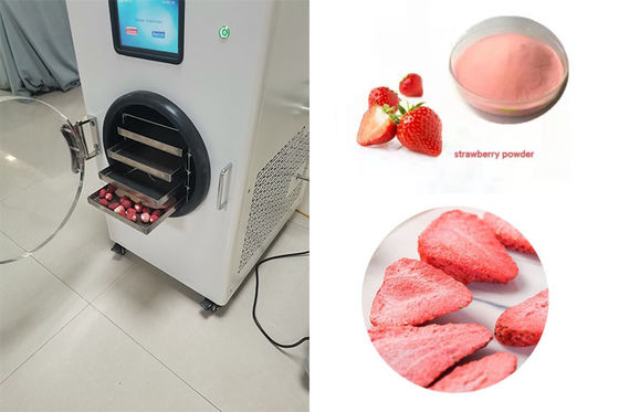 Stainless Steel Rumah Mini Freeze Dryer LCD Touch Screen