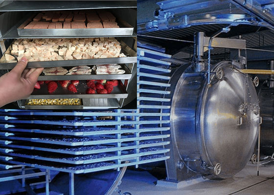 Industri-Grade Food Vacuum Freeze Dryer Menghemat Energi Lyophilizer