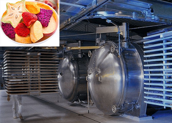 220V/380V/3PH Professional Food Vacuum Freeze Dryer Untuk Kinerja Pengeringan Tinggi