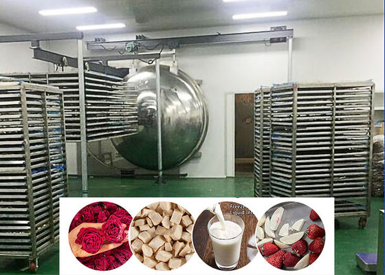 Vacuum Food Industrial Freeze Dryer Machine 200 Kg/Lot