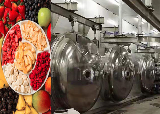Mesin pengering beku vakum makanan industri 304 stainless steel
