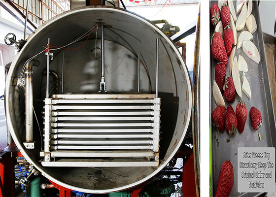 300Kg Remote Control Industrial Dry Freezer Mesin