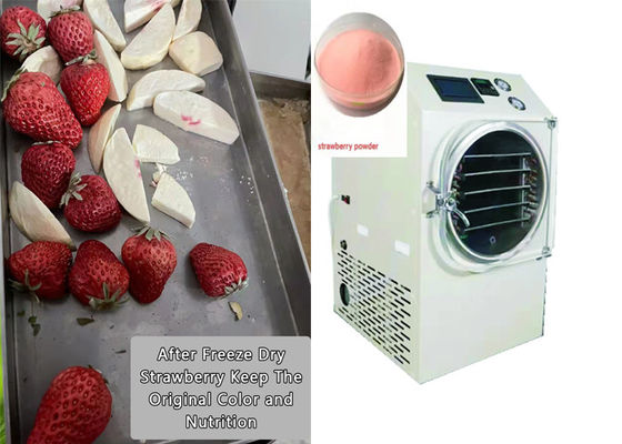 PLC dikendalikan Makanan Rumah Freeze Dryer 6Kg 10Kg Medium Size