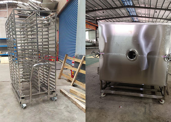 Food Vacuum Freeze Dryer untuk kontrol yang tepat dan pengeringan instan yang konsisten