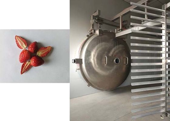 Precision 1000kg Industrial Freeze Dryer Solusi Pengeringan Superior untuk Produk Industri