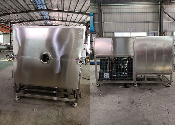 Advanced Disesuaikan Makanan Vacuum Freeze Dryer Pengguna Ramah