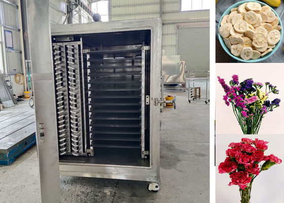 100Kg 200Kg Industri Makanan Sayuran Freeze Dryer Mesin Peralatan serbaguna