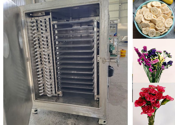 18-22 Jam/Batch Freeze Drying Automatic Vegetable Freeze Dryer Kelas Profesional