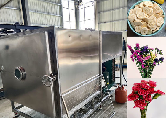 Custom Sayuran Freeze Dryer dengan Mode Operasi Otomatis