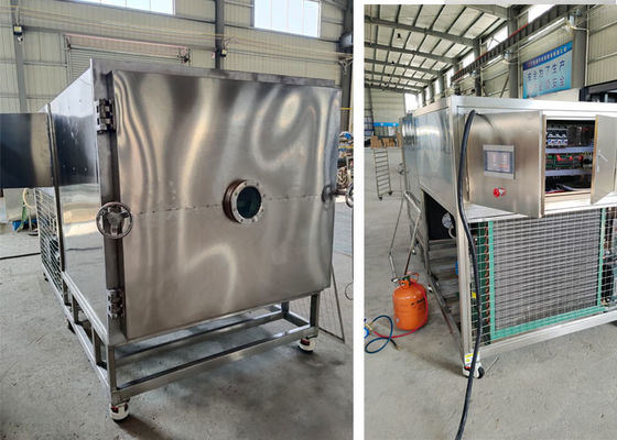 50kg100Kg Vacuum Food Lyophilizer Freeze Dryer Mesin