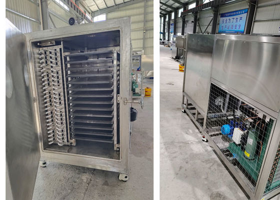 50kg 100Kg 200Kg Kapasitas Lyophilizer Freeze Dryer Mesin vakum