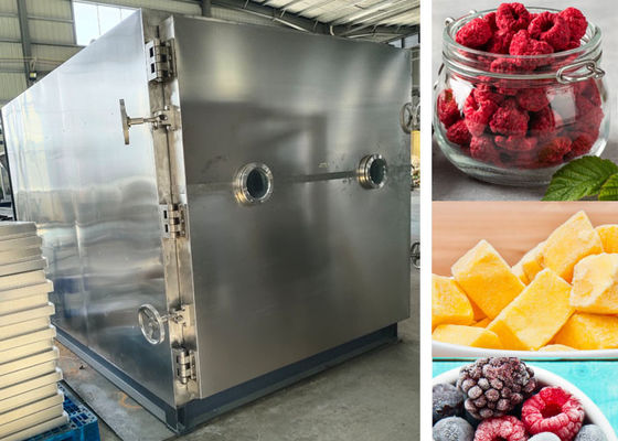Mesin pengering beku vakum yang dikendalikan PLC Lyophilizer Dryer 200Kg