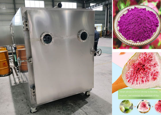 -45C ASI vakum industri beku pengeringan 200kg 500Kg