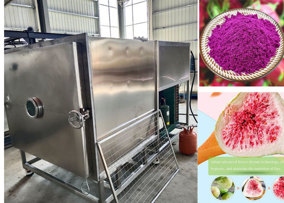 100kg / Batch Stayfresh Freeze Dryer Dengan Sistem Pendingin Udara
