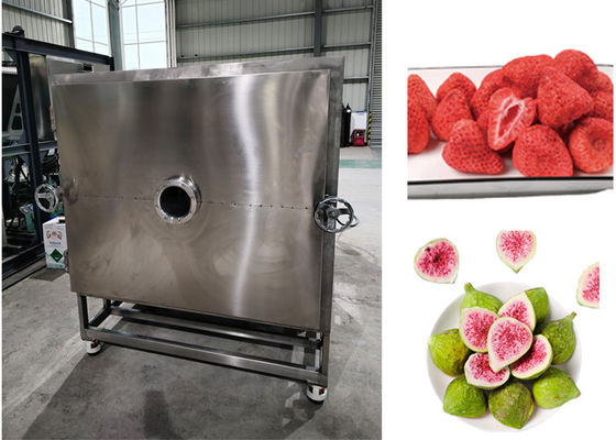 Air Dingin Sayuran Freeze Drying System Lyophilizer Mesin