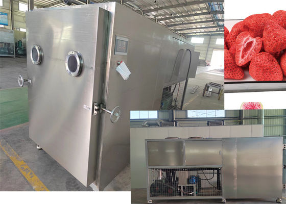 Industri Freeze Dryer Mesin vakum Lyophilizer dengan Pompa Industri