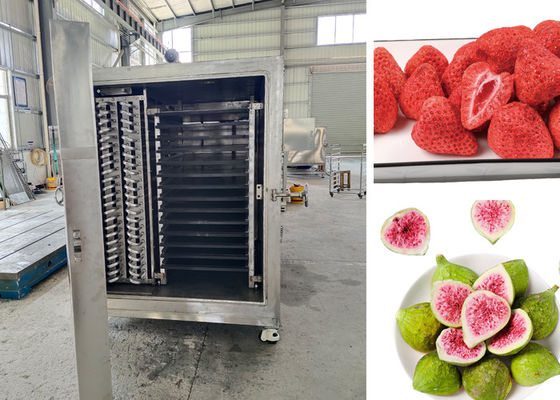 Remote Control PLC Food Vacuum Freeze Dryer Untuk Proses Pengeringan