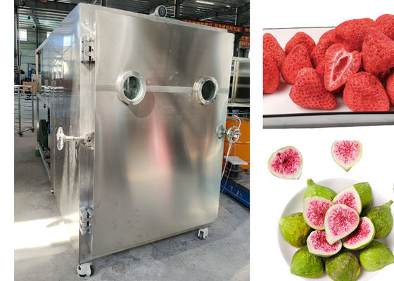 SUS 304 Makanan Hewan Peliharaan Vacuum Freeze Dryer Daging Buah Lyophilizer