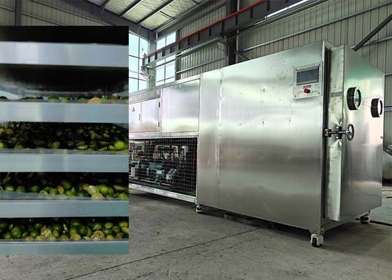 Sistem pendingin Bitzer / Leybold yang kuat Freeze Dryer Untuk Buah