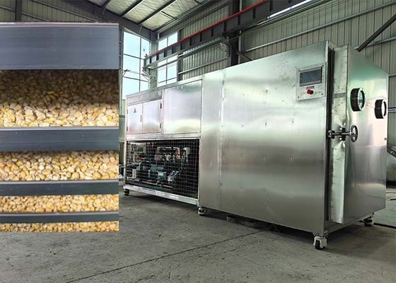 Mesin pengering makanan beku Mesin pengering buah Lyophilizer Peralatan pengering